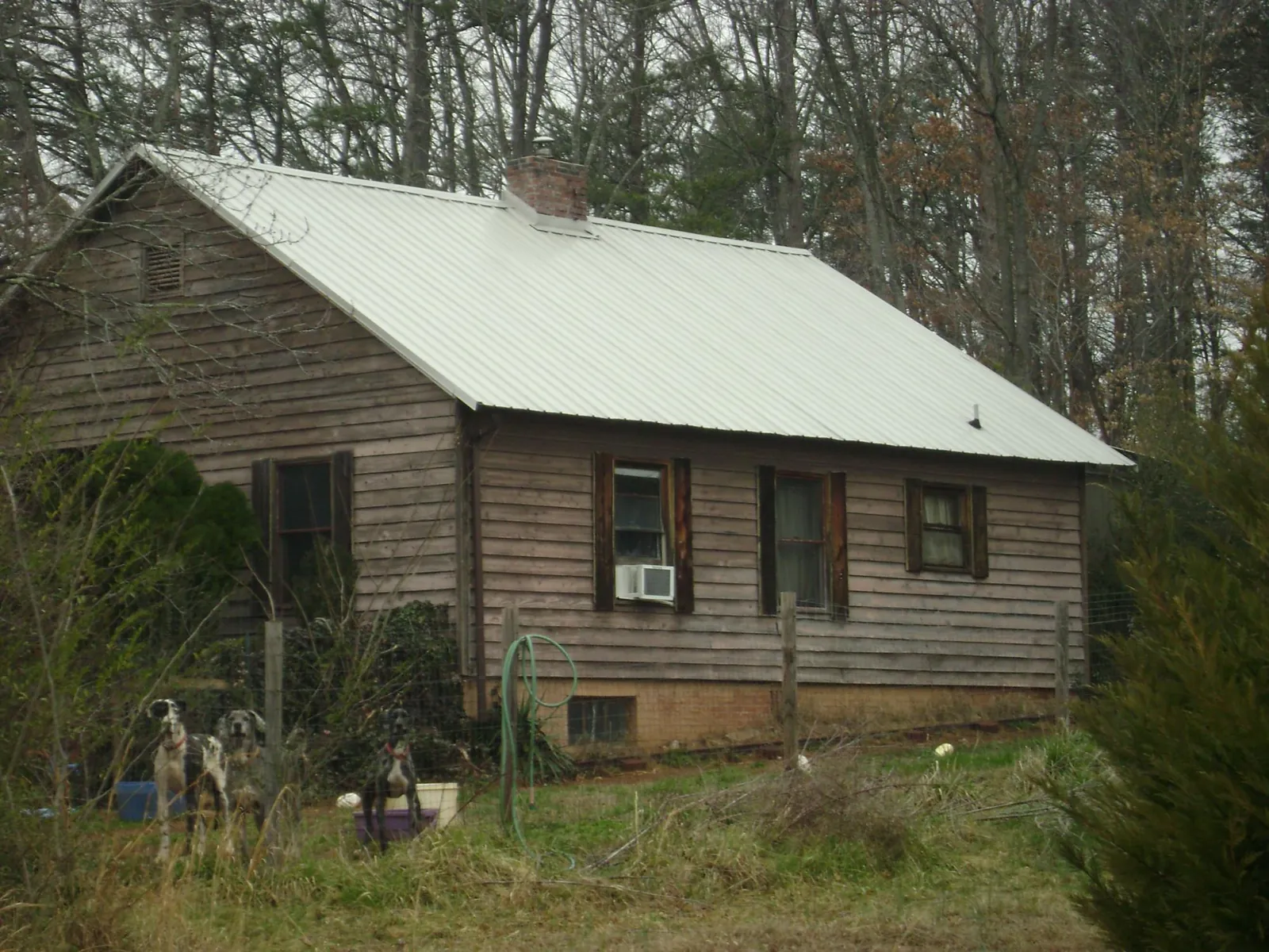 White metal roof on an old wood sided farmhouse, from a Asphalt Shingle Roof Repair job in Schoolcraft